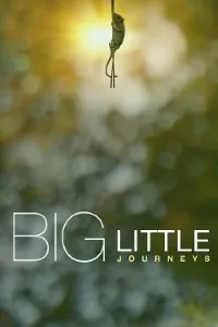Download Big Little Journeys (Season 1) {English With Subtitles} WeB-DL 720p [500MB] || 1080p [2GB]