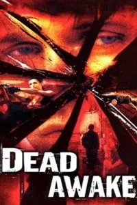 Download Dead Awake (2001) Dual Audio {Hindi-English} Esubs WEB-DL 480p [325MB] || 720p [950MB] || 1080p [2.0GB]