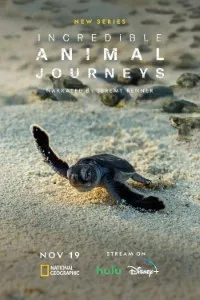 Download Incredible Animal Journeys (Season 1) [S01E02 Added] Dual Audio (Hindi-English) WeB-DL 720p [400MB] || 1080p [1.1GB]