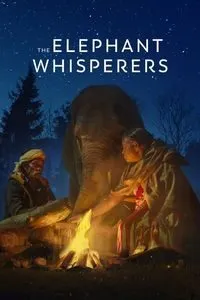Download The Elephant Whisperers (2022) Dual Audio (Hindi-English) Msubs WEB-DL 480p [140MB] || 720p [380MB] || 1080p [900MB]