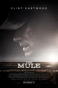 Download The Mule (2018) {English With Subtitles} BluRay 480p [500MB] || 720p [900MB] || 1080p [1.9GB]