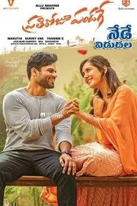 Download Prati Roju Pandage (2019) Hindi Movie WEB – DL || 720p [800MB]